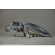 Starship Troopers Tanker Bug Maquette Signature Edition